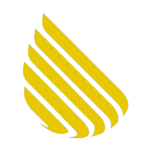 insignia-icon